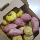약수교회어린이집 이미지