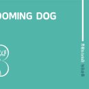 블루밍독 이미지