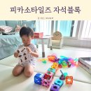 피카소어린이집 | 피카소타일즈 자석블록 36개월 장난감 내돈내산 솔직후기