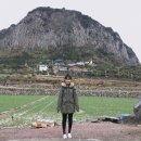 산방농장 이미지