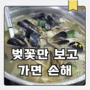 궁전해물칼국수 아산온천점 | 천안 원성천 벚꽃 코스 + 바로 옆 칼국수 맛집 후기
