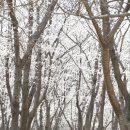 웅동마을 이미지