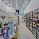 새봄이온누리약국 이미지