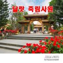 정원패키지