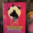 대원 콘텐츠 라이브 | 대원콘텐츠라이브 가족 뮤지컬 캣츠 CATS 관람 후기