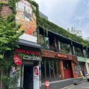 홍가시카페(cafe)