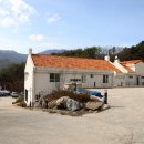 로로포레 이미지