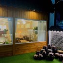 양덕동199 이미지