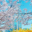 (주)대성씨앤씨