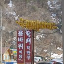 용바위식당 이미지