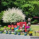 느티나무골펜션 이미지