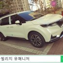 새들브라운 이미지