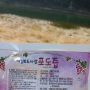 김삿갓면-5 이미지