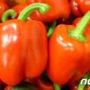 운봉농협 농산물산지유통센터 이미지