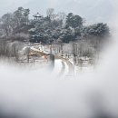 나리네 이미지