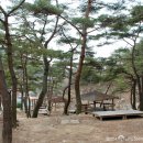 박달재자연휴양림야영장 이미지