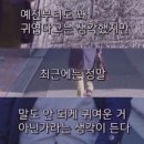 돌리샵 이미지