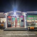 초원도야지