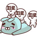 둘둘미용실 이미지