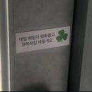레몬비 막숙포구점 | 자유를 즐겨보자고 🍀