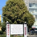 옥천면옥 | 가을에도 냉면이 먹고 싶을때 옥천면옥 본점 내돈내산 후기