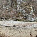 아무르베이커리 이미지