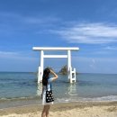 신신교통(주) | 일본 후쿠오카 나혼자여행 코스_꿀잼보장 일정 경비 정리 | 근교 투어, 하카타, 텐진, 맛집, 이토시마...