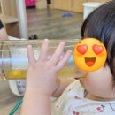 [내돈내산] 청주 모래놀이 키즈카페 샌드포레스트 방문하다!