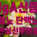 신증행정사 네이버블로그
