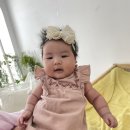 스튜디오624 | 또또의 50일 촬영, 해든스튜디오 방문 후기