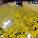 자흘연한방약선차