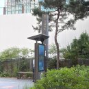 [여의도] 진실의 미간 자동 소환 여의도 이자카야 추천 이치만 여의도점