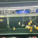 금어농장 이미지