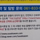 (주)나이스관광 | 고흥 여행-쑥섬 8월 중순 방문 후기 (배편, 소요시간) #목수국 #팜파스