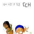 보누 Daum카페
