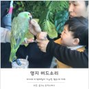 산양타워 앞(명지동 3412-1) | 부산 명지 앵무새 카페 버드소리 : 아이와 체험하기 좋은 이색카페네요~