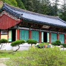 오대산산촌식당 이미지