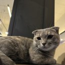 아이디온PC카페 이미지