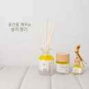 편백디퓨저 추천 실내디퓨저 차량용디퓨저 라피노아 포레스트 후기