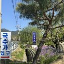 탐하국수가