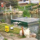 트루행정사사무소 이미지