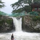 호롱골 Daum카페