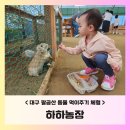 새인농장 | B-육아정보: 대구 아이랑 비오는 날 실내 동물 먹이주기 체험 &lt;하하농장&gt;