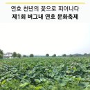 연호 천년의 꽃으로 피어나다 / 제1회 버그내 연호 문화축제 이미지