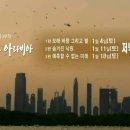 오소리와일드(OSORI WILD) | [다큐] 아라비아 반도의 자연을 볼 수 있는 글로벌 다큐멘터리 3부작, 와일드 아라비아
