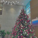 김시선우드워킹랩 | 태안 해양치유센터, 준비 안 된 뱃살에 당황했던 솔직 후기와 개선점