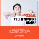 더디스크 이미지