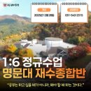 괴정1길 네이버블로그