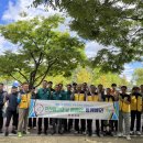 합천군청(안전총괄과) 이미지