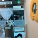 지나댕댕 이미지